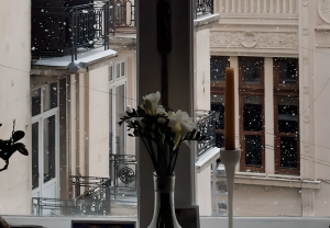 Подробнее о статье Японский пуэр (HOJO) — новое поколение уникального напитка